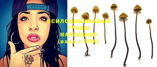 МДПВ Аркадак