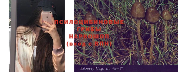 ПСИЛОЦИБИНОВЫЕ ГРИБЫ Баксан