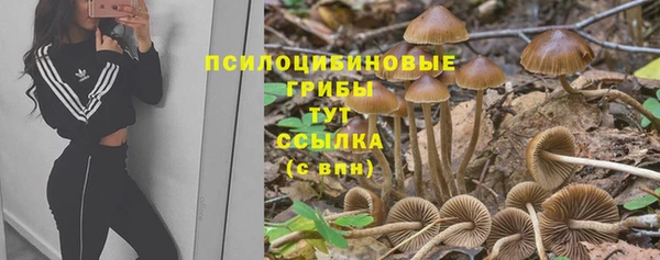 МДПВ Аркадак
