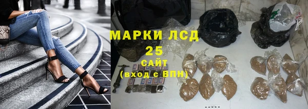 ПСИЛОЦИБИНОВЫЕ ГРИБЫ Баксан