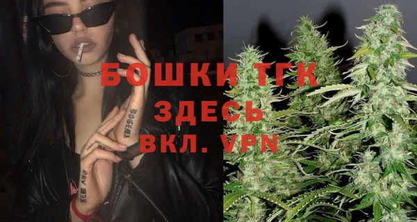 прущие грибы Балабаново