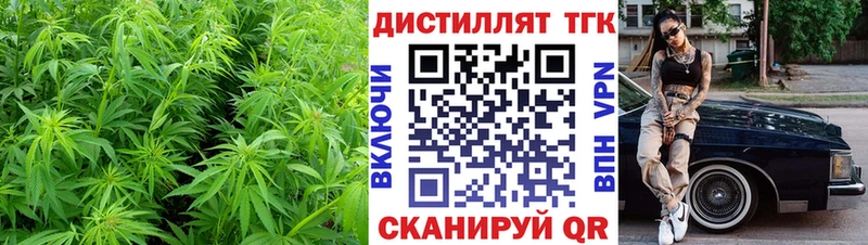 где купить   Кирово-Чепецк  ТГК THC oil 