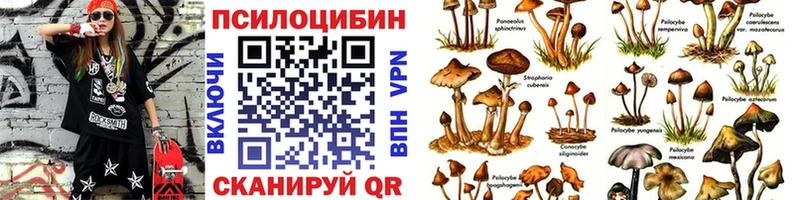 Псилоцибиновые грибы мицелий  Кирово-Чепецк 